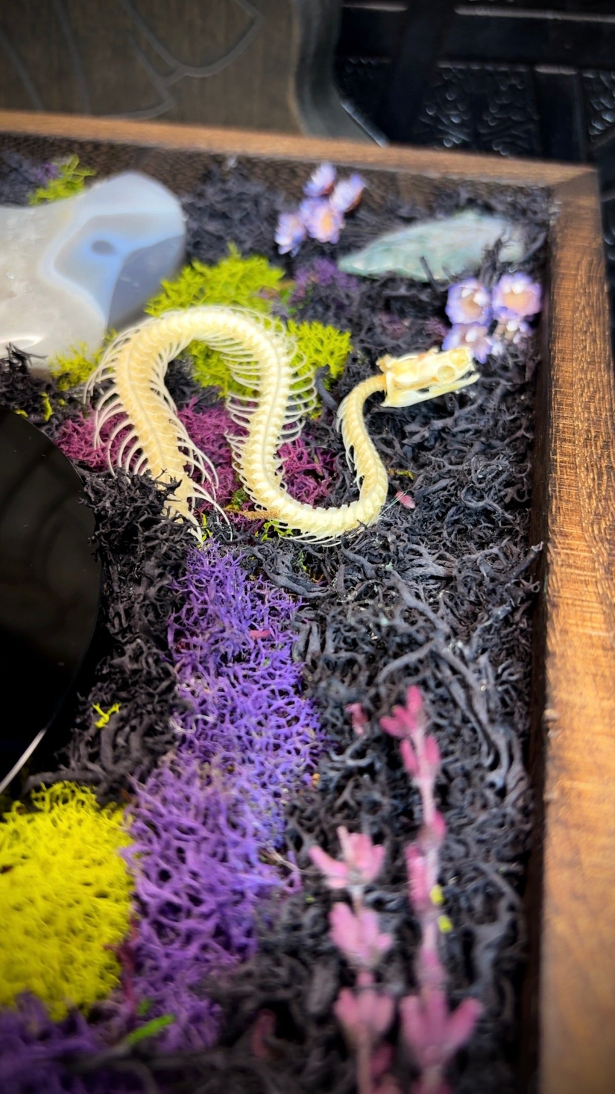 Serpent Moon Scrying Mirror