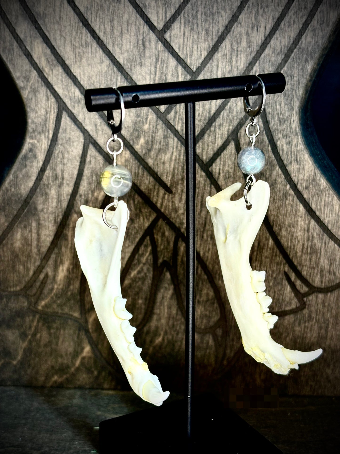 Moonlit Familiar Jawbone Earrings