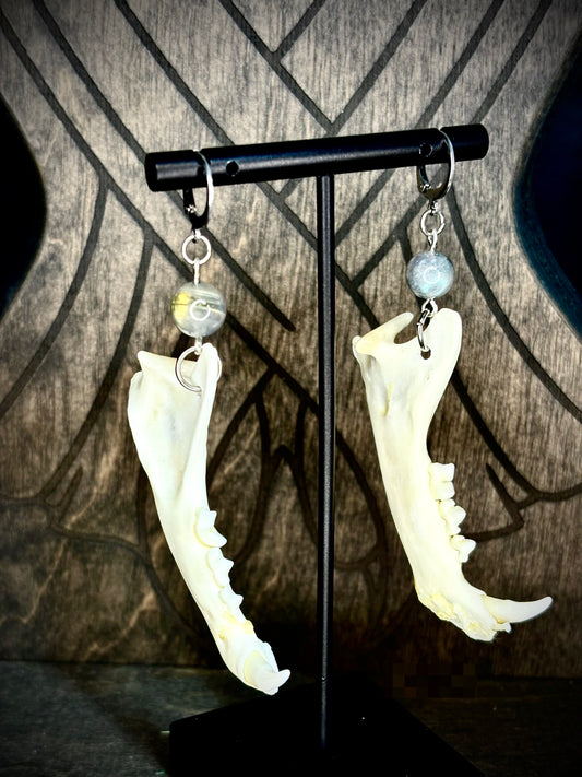 Moonlit Familiar Jawbone Earrings
