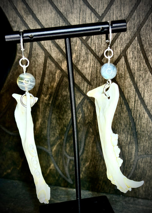 Moonlit Familiar Jawbone Earrings