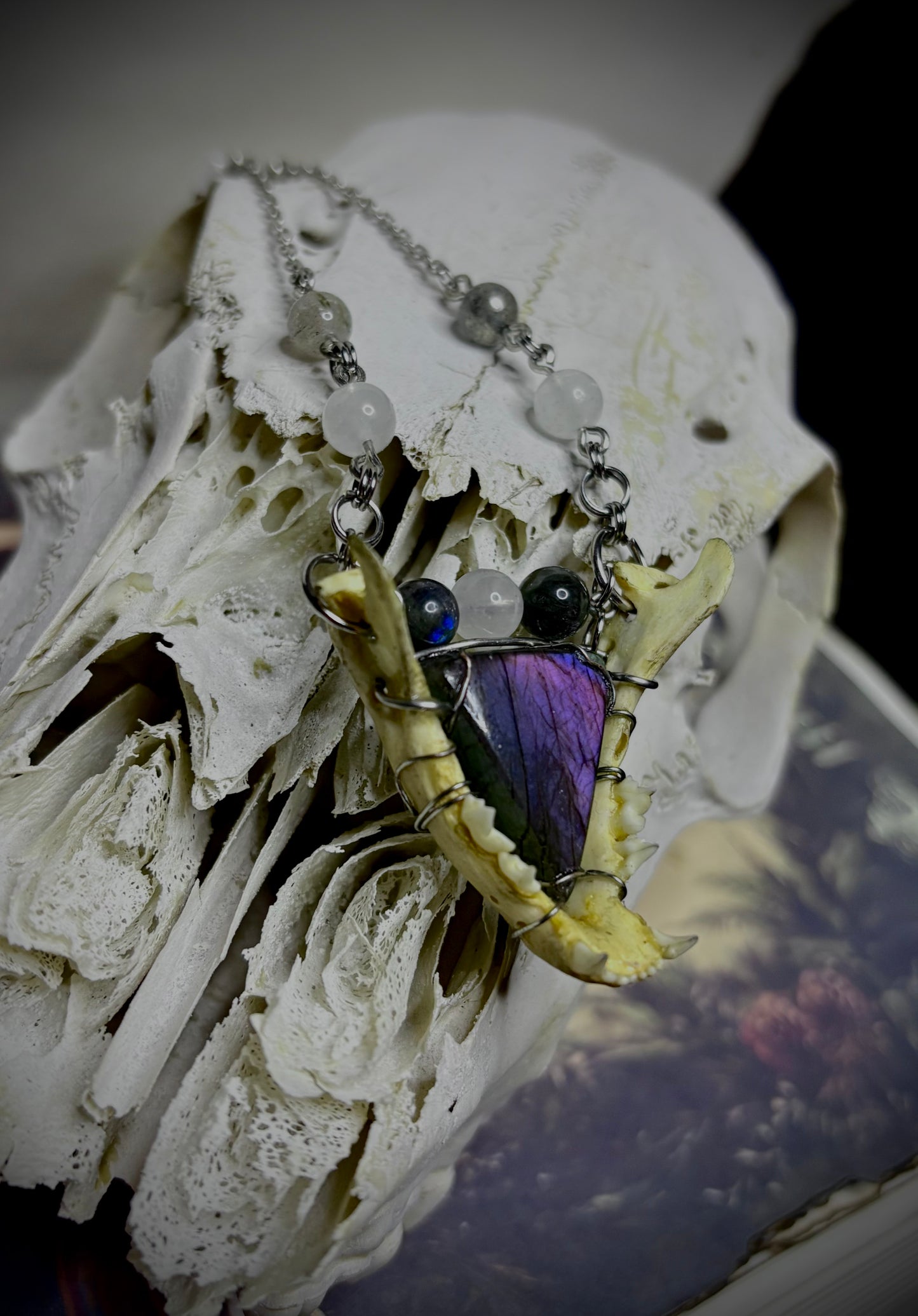 Feline jaw purple labradorite necklace