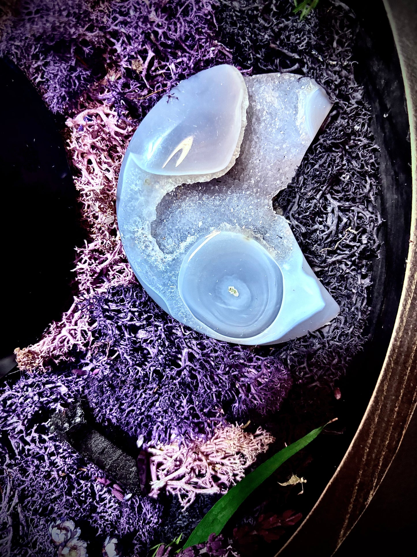 Moonlit Familiar — Obsidian Scrying Mirror Wall Hanging