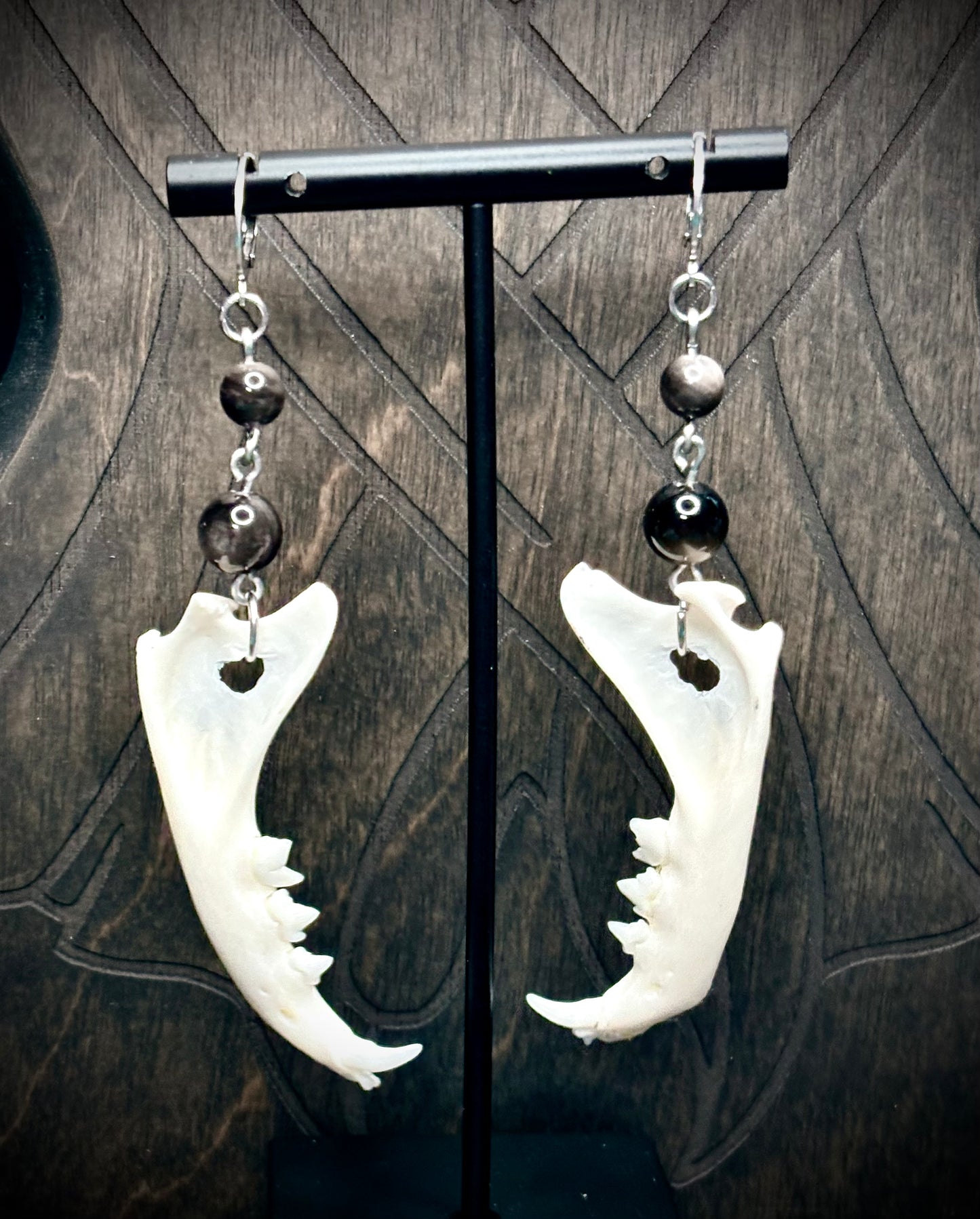 Familiar’s Fangs — Cat Jaw & Silver Obsidian Earrings