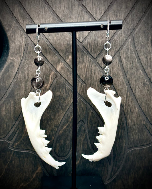 Familiar’s Fangs — Cat Jaw & Silver Obsidian Earrings