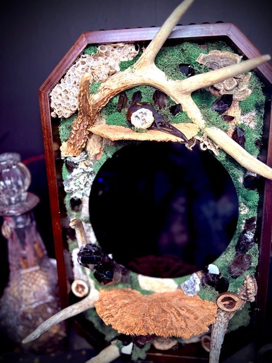 The forest remains scrying mirror