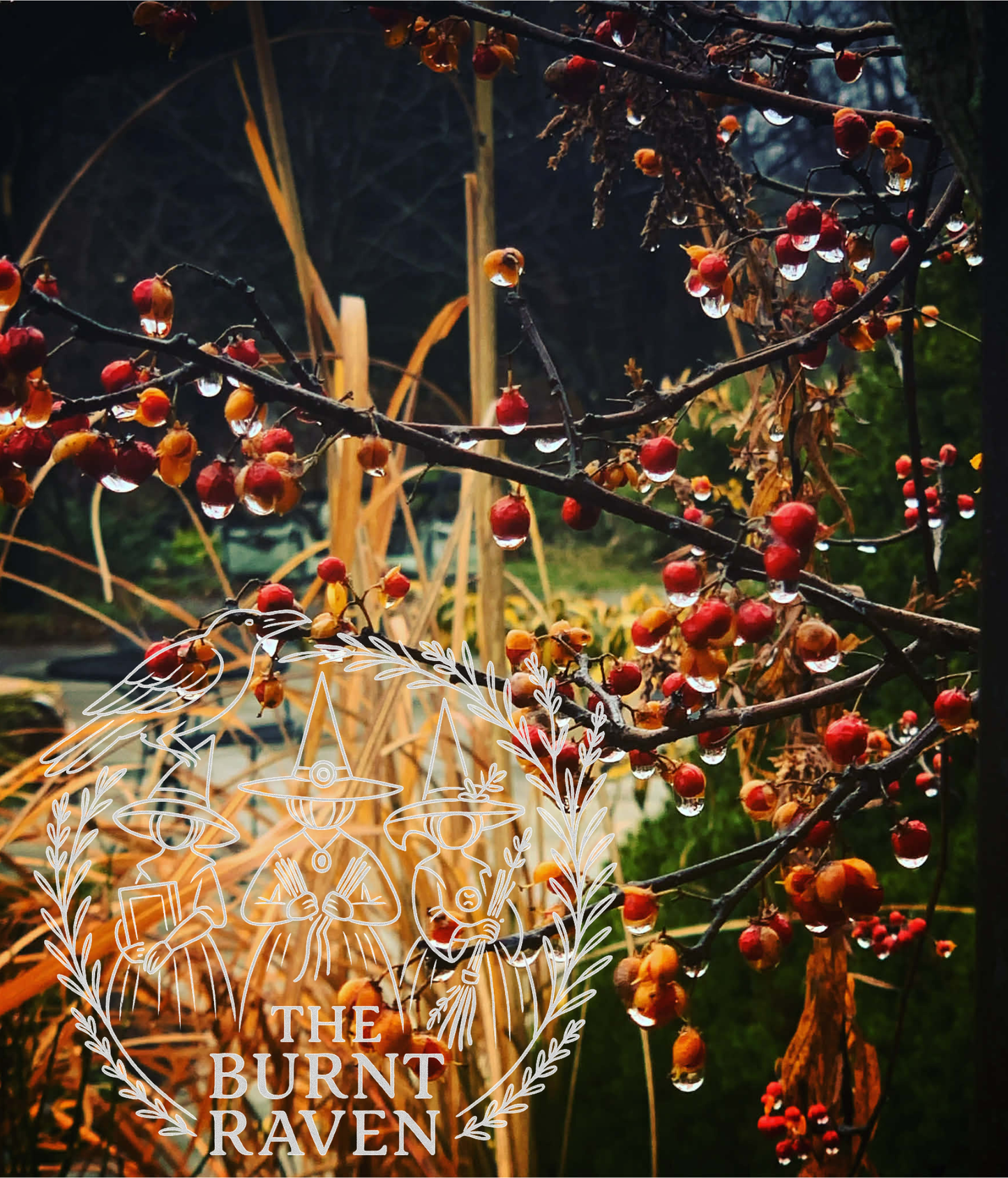 Winter berries