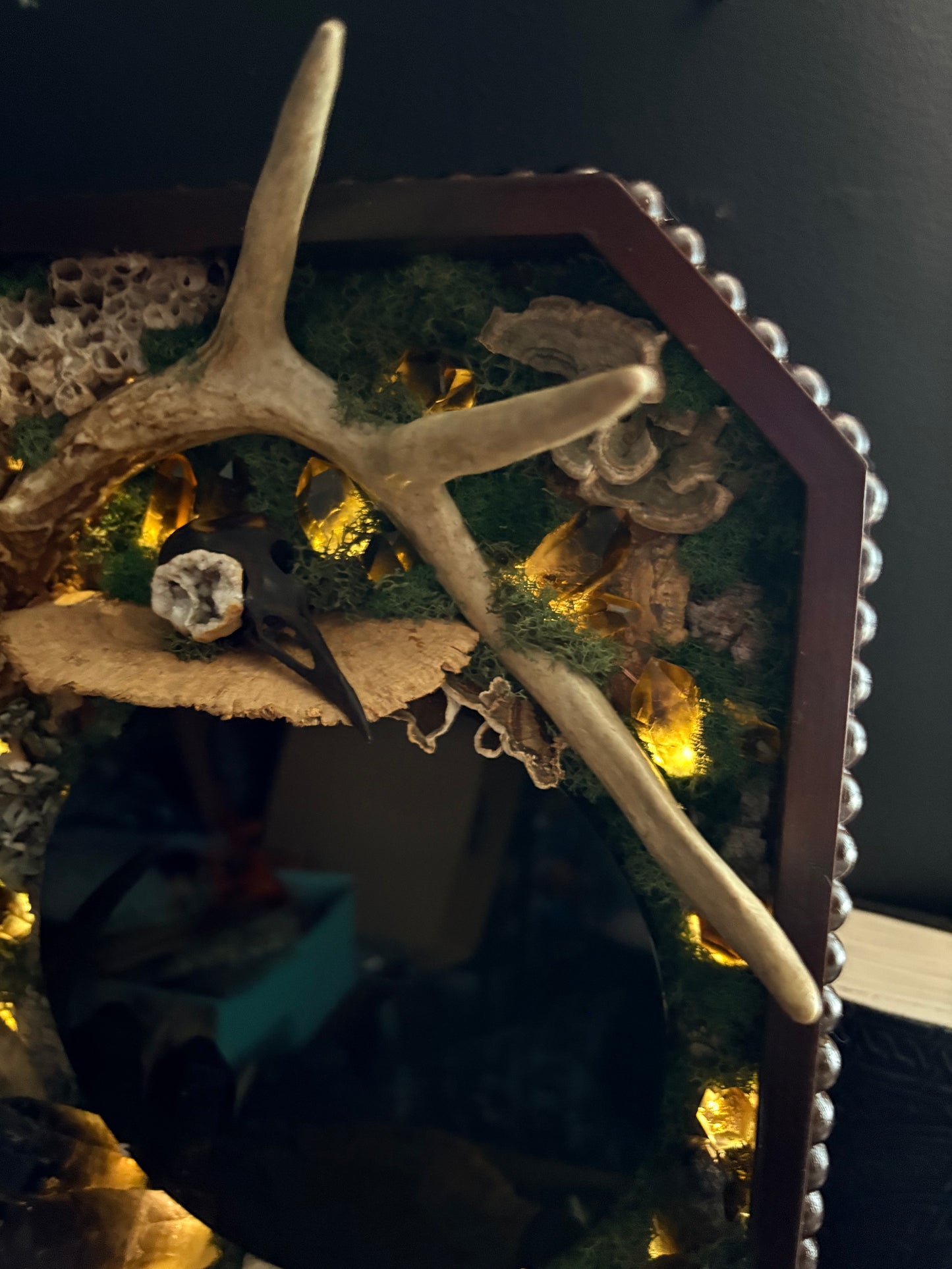 The forest remains scrying mirror