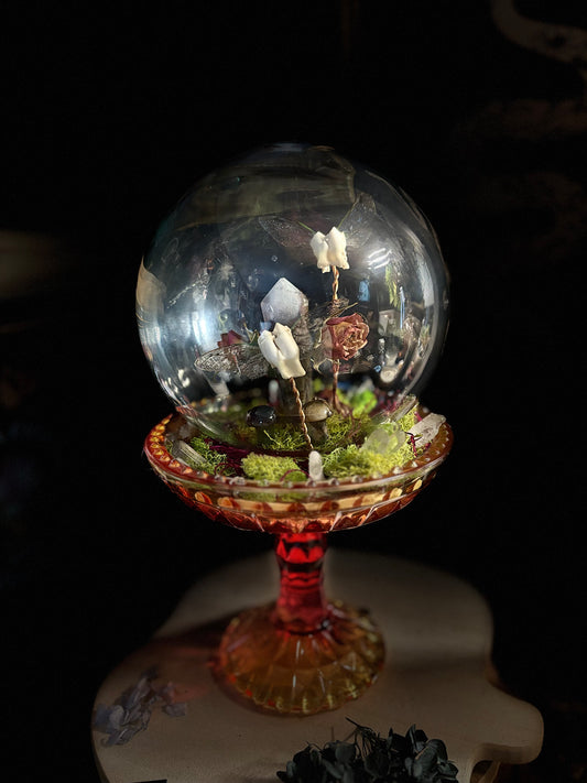 Tooth fairies oddity globe